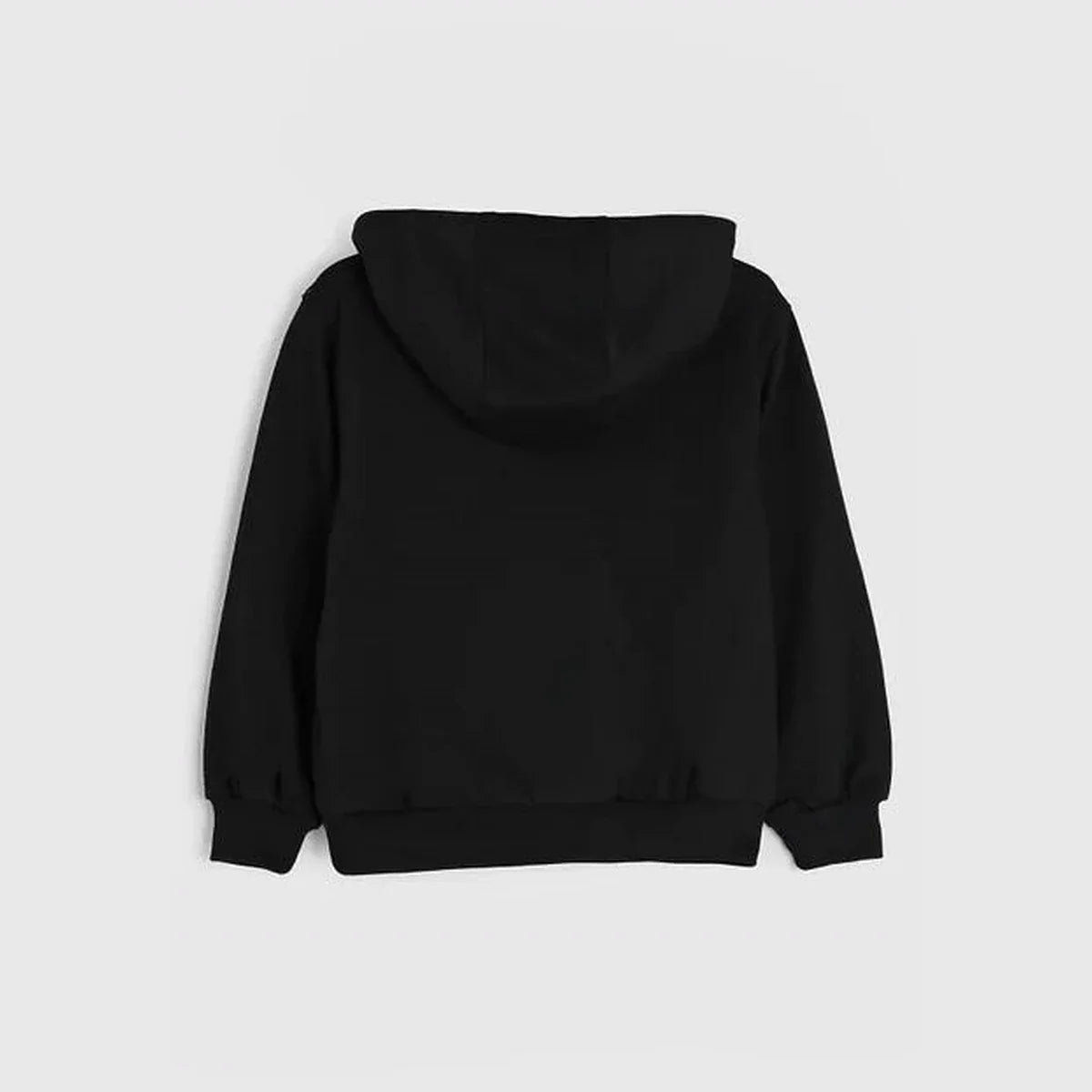 Sudadera con capucha, vista trasera